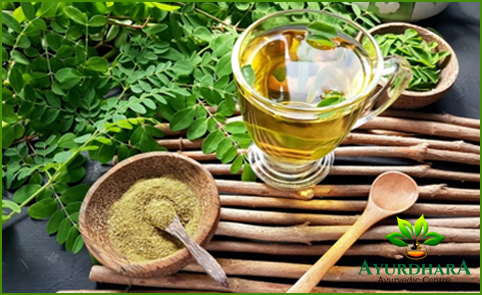 moringa